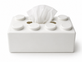 Tissue Holder