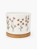 Succulent Plant Pot